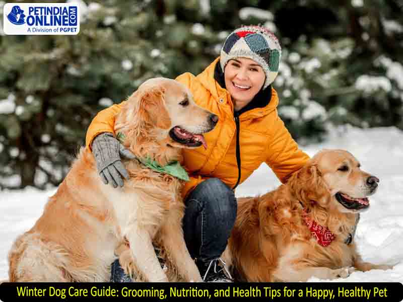 Winter Dog Care Guide: Grooming, Nutrition, and Health Tips for a Happy, Healthy Pet