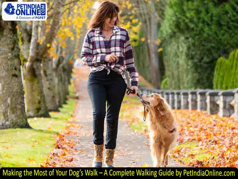 Making the Most of Your Dog’s Walk – A Complete Walking Guide by PetIndiaOnline.com