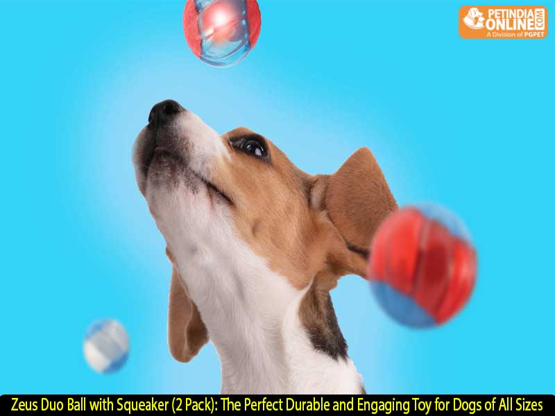 Zeus Duo Ball with Squeaker (2 Pack): The Perfect Durable and Engaging Toy for Dogs of All Sizes