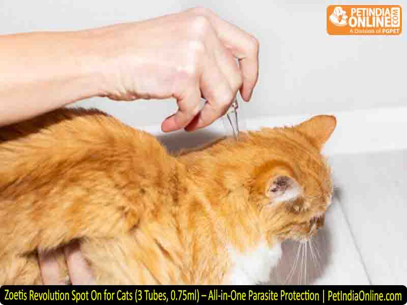 Zoetis Revolution Spot On for Cats (3 Tubes, 0.75ml) – All-in-One Parasite Protection | PetIndiaOnline.com