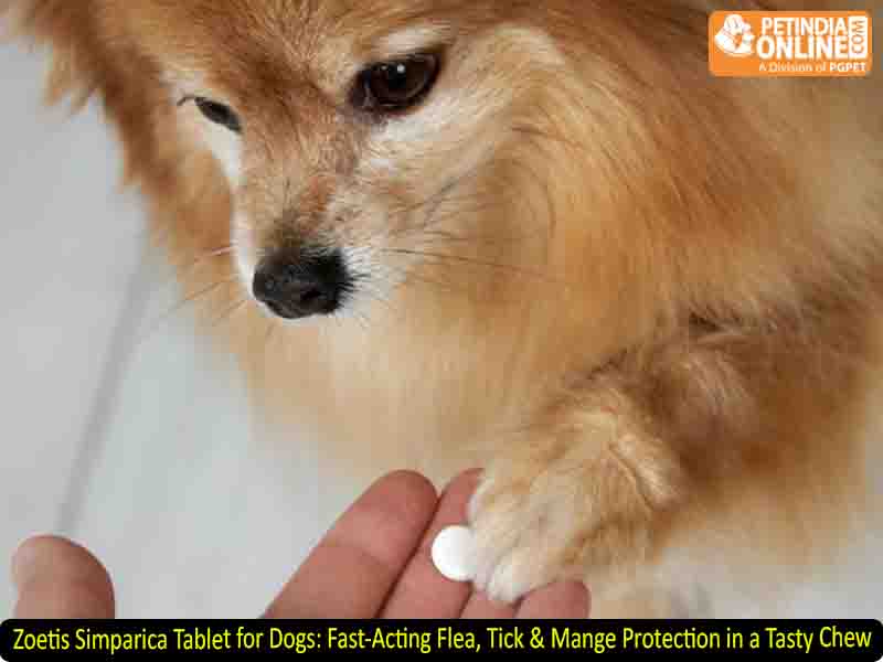 Zoetis Simparica Tablet for Dogs: Fast-Acting Flea, Tick & Mange Protection in a Tasty Chew