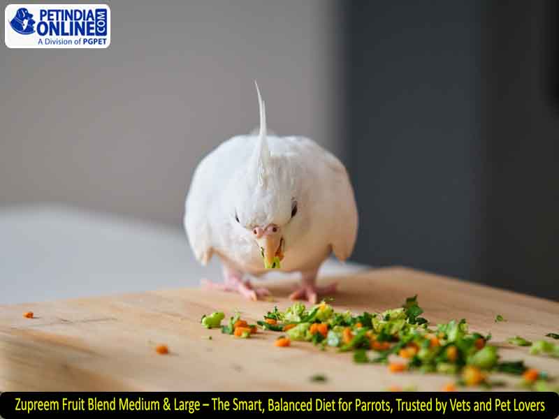 Zupreem Fruit Blend Medium & Large – The Smart, Balanced Diet for Parrots, Trusted by Vets and Pet Lovers