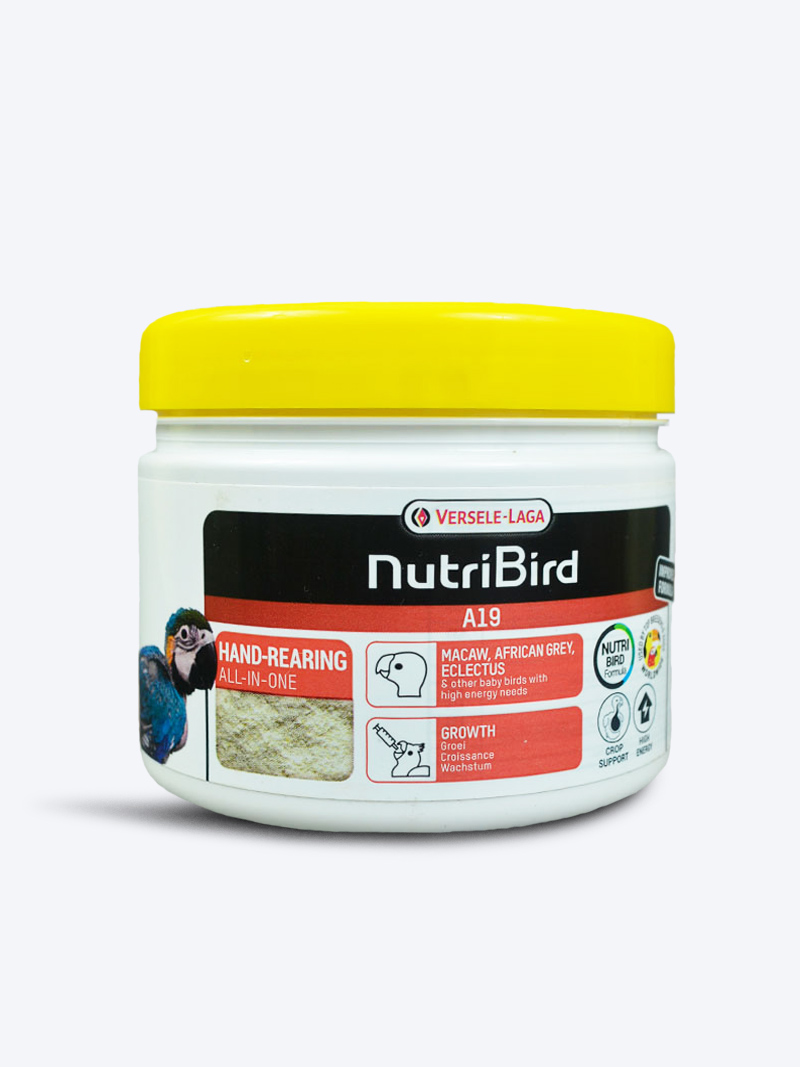Buy Versele Laga A19 Bird Handfeeding 250gm | Petindiaonline.com