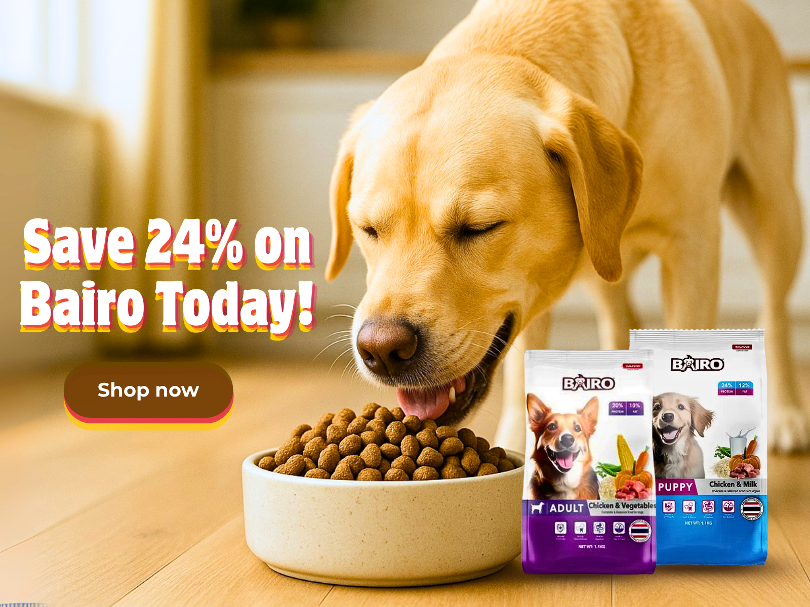 What to Feed a Dog With Diabetes: Essential Diet Tips for Health