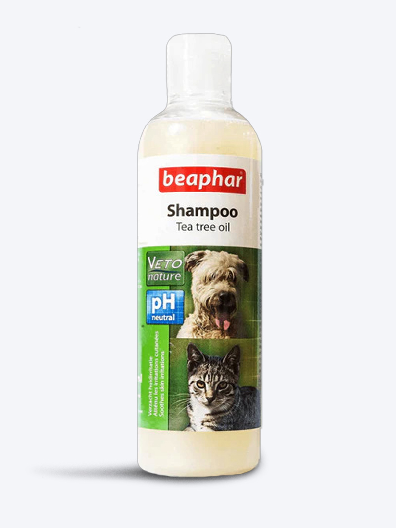 Beaphar Tea Tree Oil Dog Shampoo 250ml – Natural Care for Healthy Skin & Coat