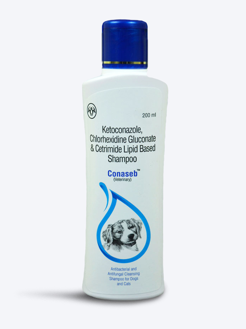 Intas Conaseb Anti-Fungal Dog Shampoo 200ml | Petindiaonline.com