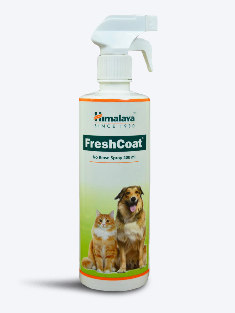 Buy Himalaya Fresh Coat No Rinse Spray for Dogs & Cats 400ml – Petindiaonline.com