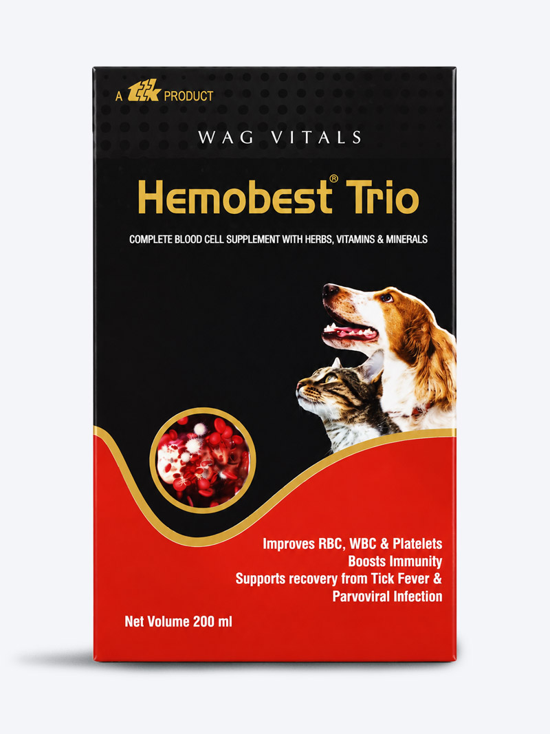 Buy TTK Hemobest Trio Pet Syrup 200ml – Iron & Vitamin Supplement for Pets | Petindiaonline.com