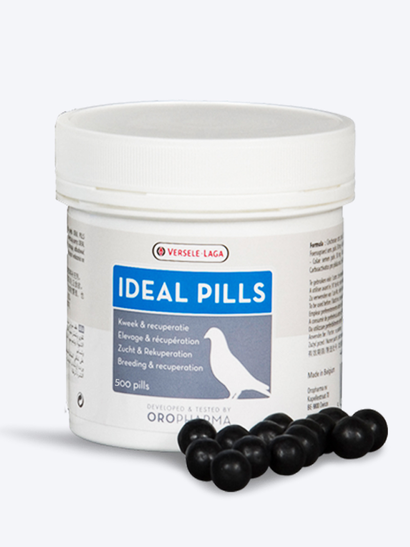 Buy Versele Laga Ideal Pills - 500 Pills | Petindiaonline.com