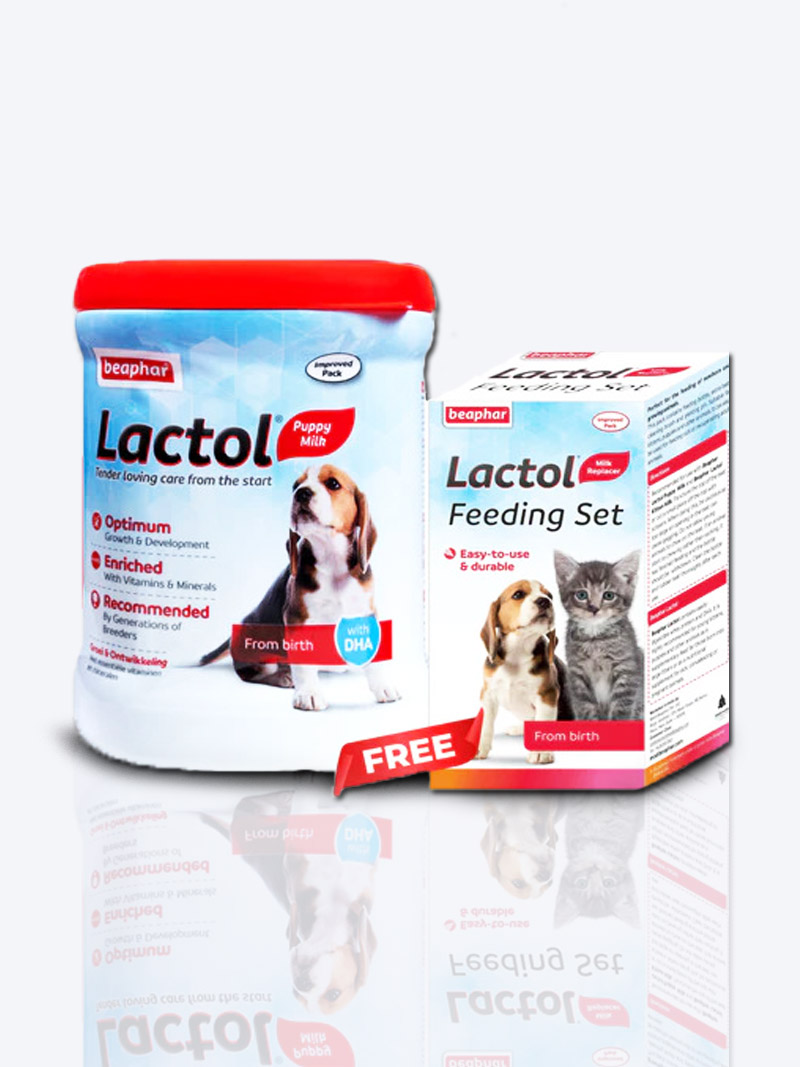 Beaphar Lactol Puppy Milk – Newborn Milk Replacement Powder | PetIndiaOnline.com