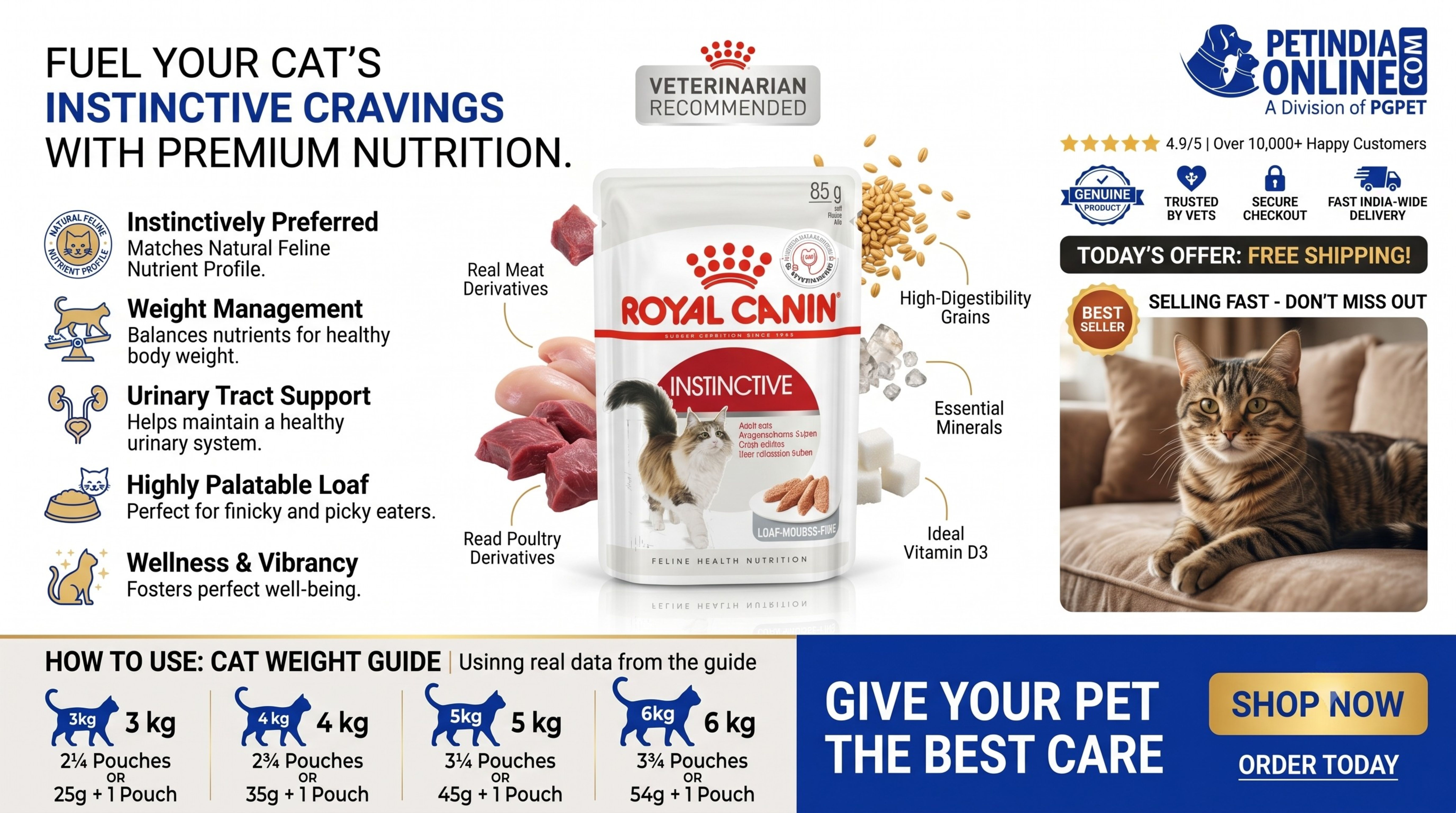 Royal Canin Instinctive Loaf Wet Cat Food 85g: Complete Nutrition Guide for Adult Cats