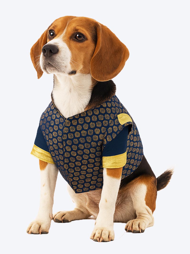 Sherwani with Jacket for Dogs – Size 18 | Ethnic Dog Wear | Petindiaonline.com
