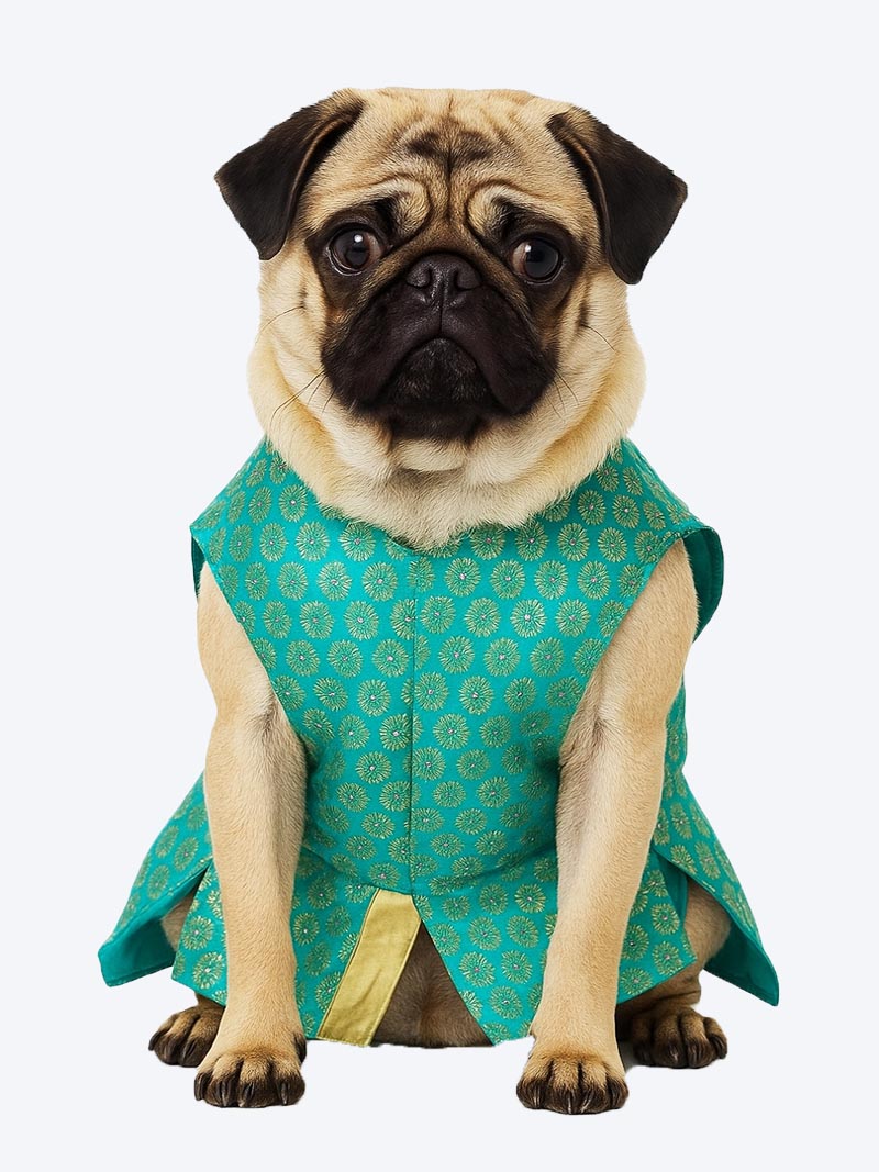 Sherwani with Jacket Pattern for Dogs – Size 28 | Petindiaonline.com