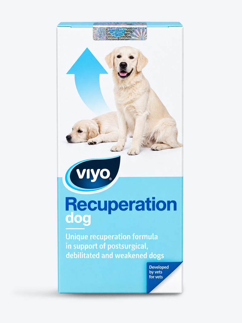 Buy Viyo Recuperation Dog Syrup 150 mlOnline at Petindiaonline.com | Nutritional Support for Recovery